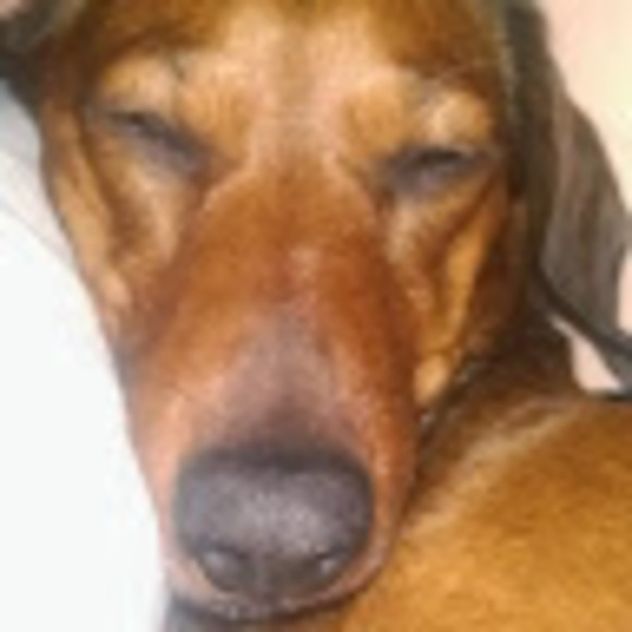 Meet your Posher, Michelle - Picture 1 of 1